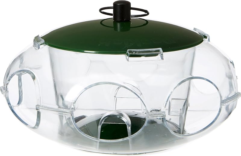 Peckish Bird Seed Feeder Small Birds Green 24.8x14.8x5.4 cm