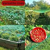 REQUISITE NEEDS Green Garden Netting 4m x 10m Bird Pesticide Free Protection view 6