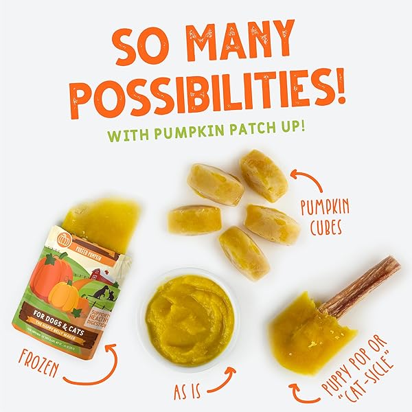 WERUVA PUMPKIN PATCH UP! PUMPKIN POUCHES FOR DOGS & CATS