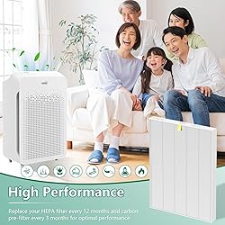 C545 Replacement Filter S Compatible with Winix