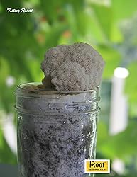 Root Mushroom Farm-Mushroom Liquid Cultures/Lion's