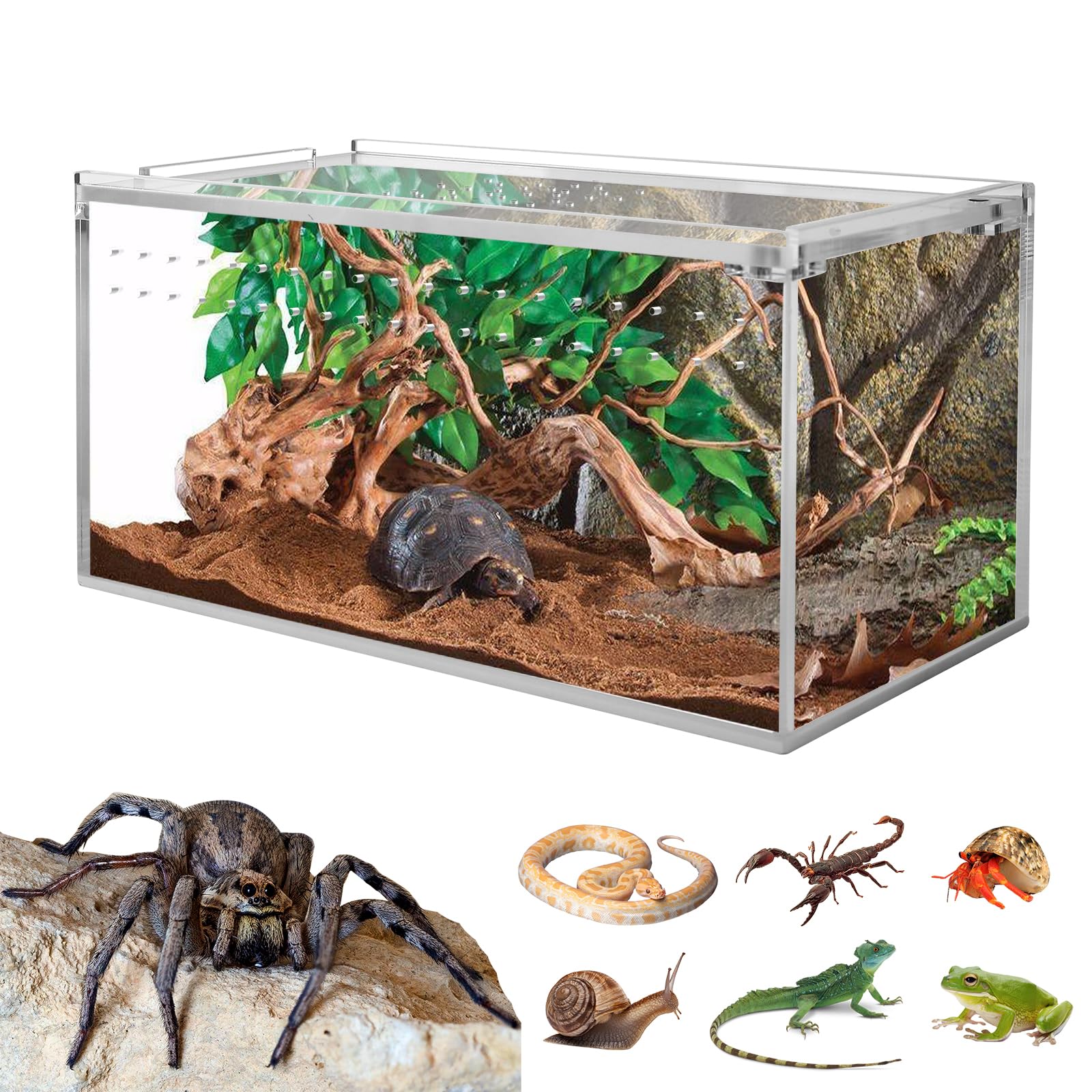 Mua Smartang Acrylic Tarantula Enclosure Terrarium with Button,8 * 4 * 4" Thicken