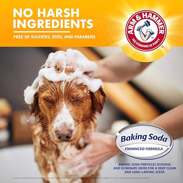 ARM & HAMMER FOR PETS 5-IN-1 DOG SHAMPOO WITH CONDITIONER, DEODORIZING OATMEAL DOG SHAMPOO WITH ALOE, SHEA BUTTER, BAKING SODA AND COAT CARE, VANILLA SANDALWOOD SCENT, 20 FL OZ
