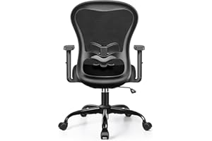 Primy Office Chair Ergonomic Computer Desk Chair, High Back Breathable Mesh Chair with Adjustable Lumbar Support 2D Armrests, Executive Rolling Swivel Comfy Task Chair with Wheels for Home Work Gaming