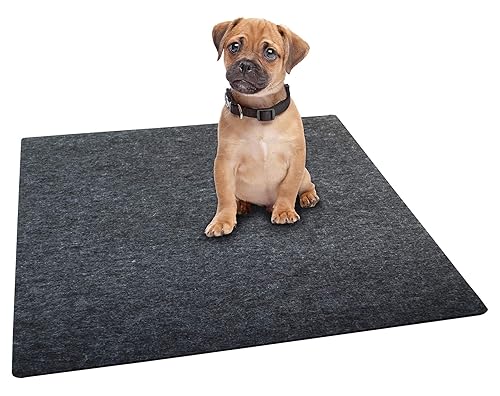 Drymate Heavy Duty Washable Potty Pad, Reusable Black Charcoal Pee