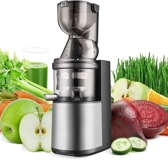 Flexzion Slow Masticating Juicer Cold Press Machine Juice Extractor
