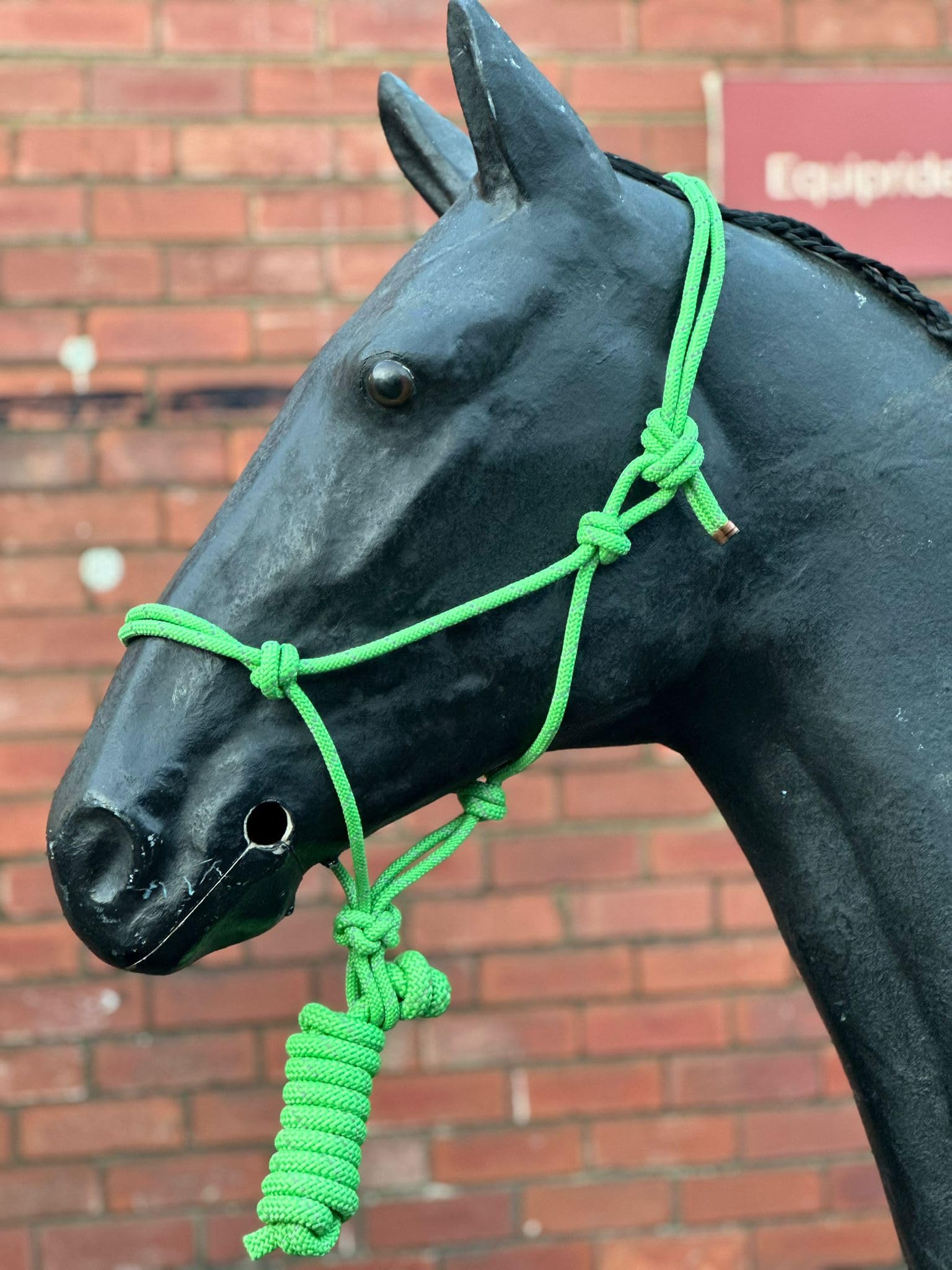 Hi-Viz Reflective Rope Headcollar with Lead Rope Se Fully Adjustable (Shetland, Green)
