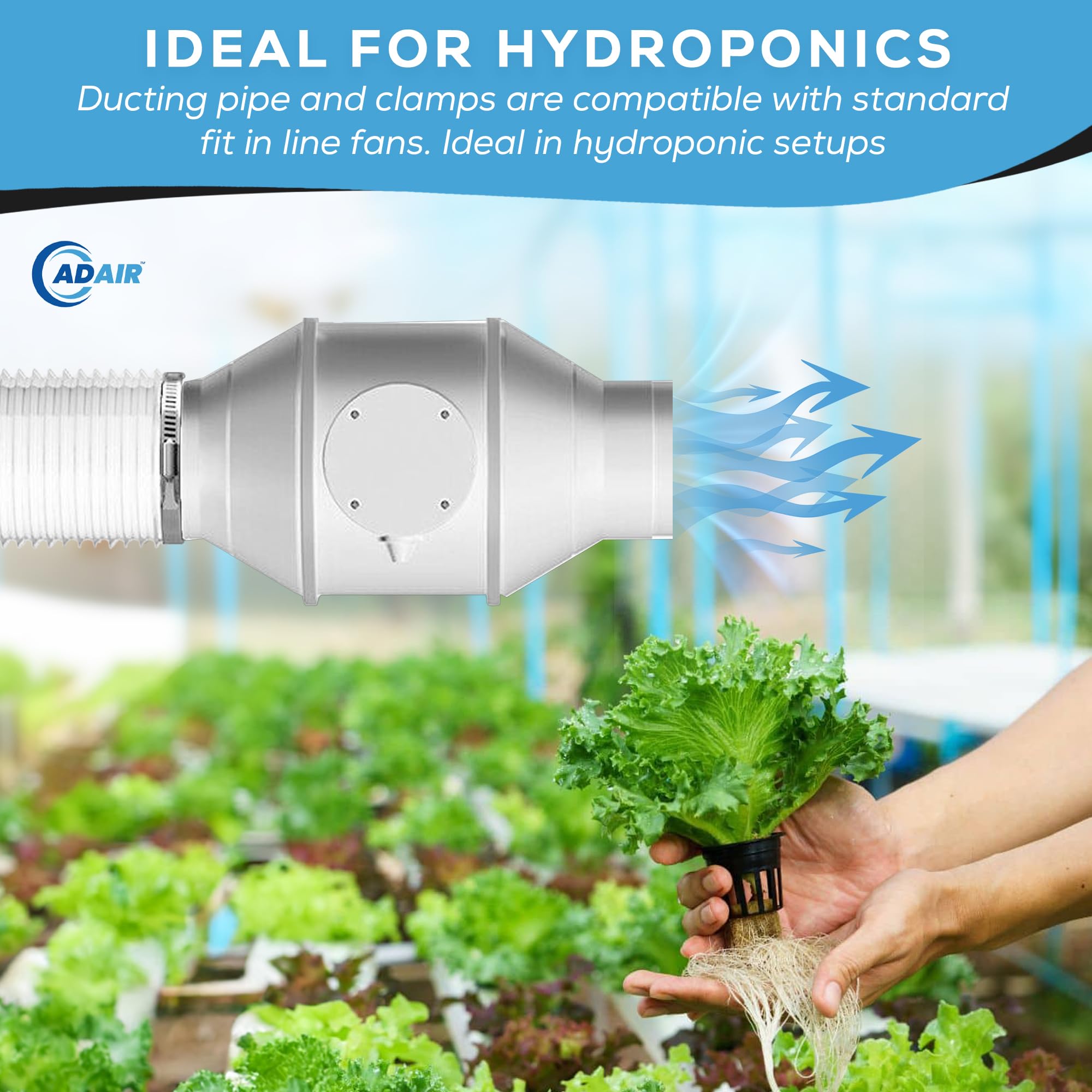 View 6