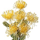 Hollyone 33" Yellow Artificial Mums Flowers Chrysanthemum Flowers 2Pcs Fake Spider Mum Flower Arrangement Faux Pincushion Flower with 3 Heads Long Stem for Party Centerpiece Bouquet Home Decor