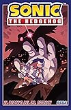 Sonic The Hedgehog Vol. 2: El destino del