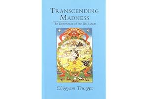 Transcending Madness: The Experience of the Six Bardos