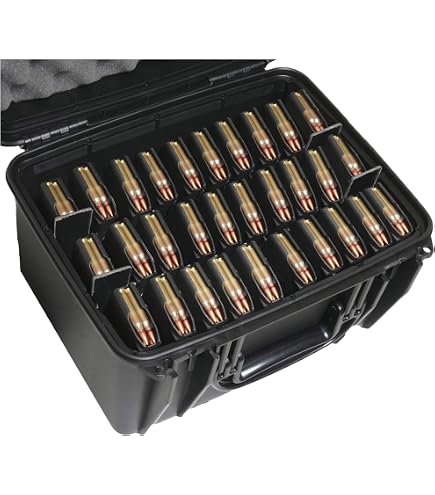 Case Club 20 5.56/ .223 Mag & 20 Pistol Magazine Waterproof Storage Case : Sports & Outdoors