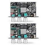 2PCS ZK-1001U Mono Amplifier Board with TWS, 100W