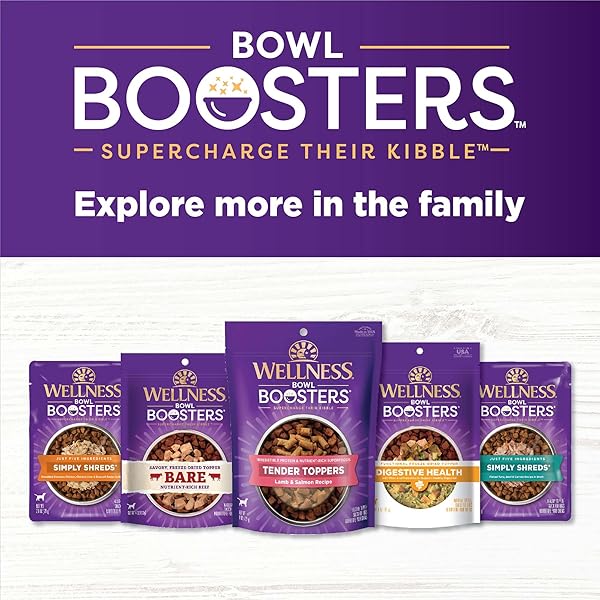 WELLNESS BOWL BOOSTERS, DOG FOOD TOPPER FOR SMALL, MEDIUM, & LARGE BREEDS, GRAIN FREE, NATURAL, FREEZE DRIED, DIGESTIVE HEALTH CHICKEN, 4 OUNCE BAG (PACK OF 1)