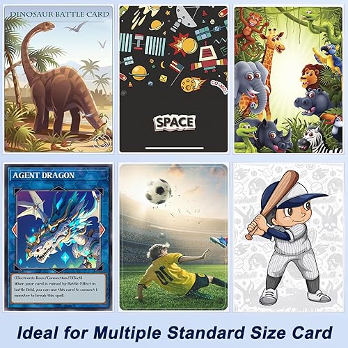 card display cases Mag Mount® Card Displays main image 0