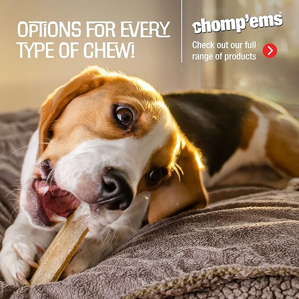 CHOMP’EMS PREMIUM BEEFHIDE CHEW FOR DOGS, 1 CHEW