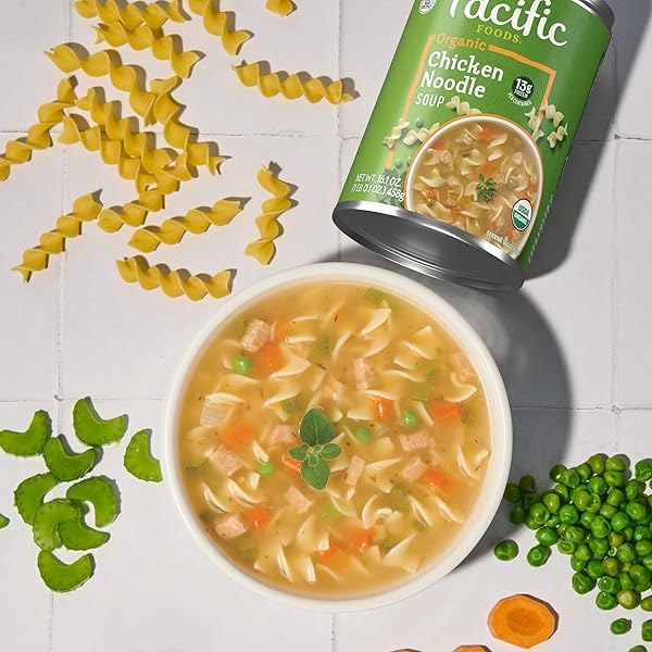 PACIFIC FOODS ORGANIC CHICKEN NOODLE SOUP, 16.1 OZ CAN