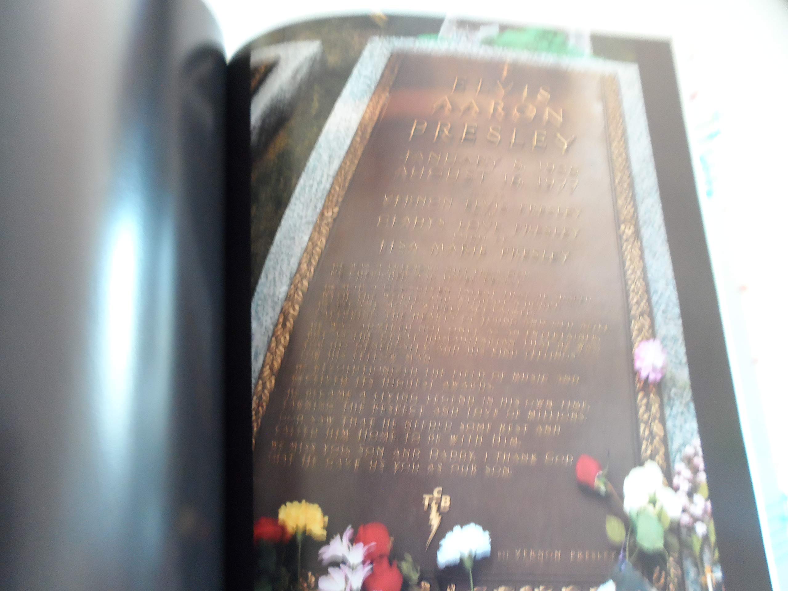 Amazon Com Elvis World Stern Jane Libros