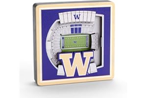YouTheFan NCAA 3D StadiumView Magnet