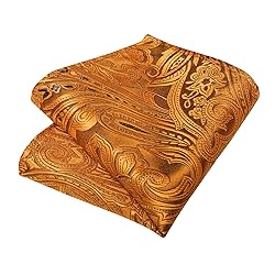DiBanGu Silk Paisley Ties for Men Woven Necktie and