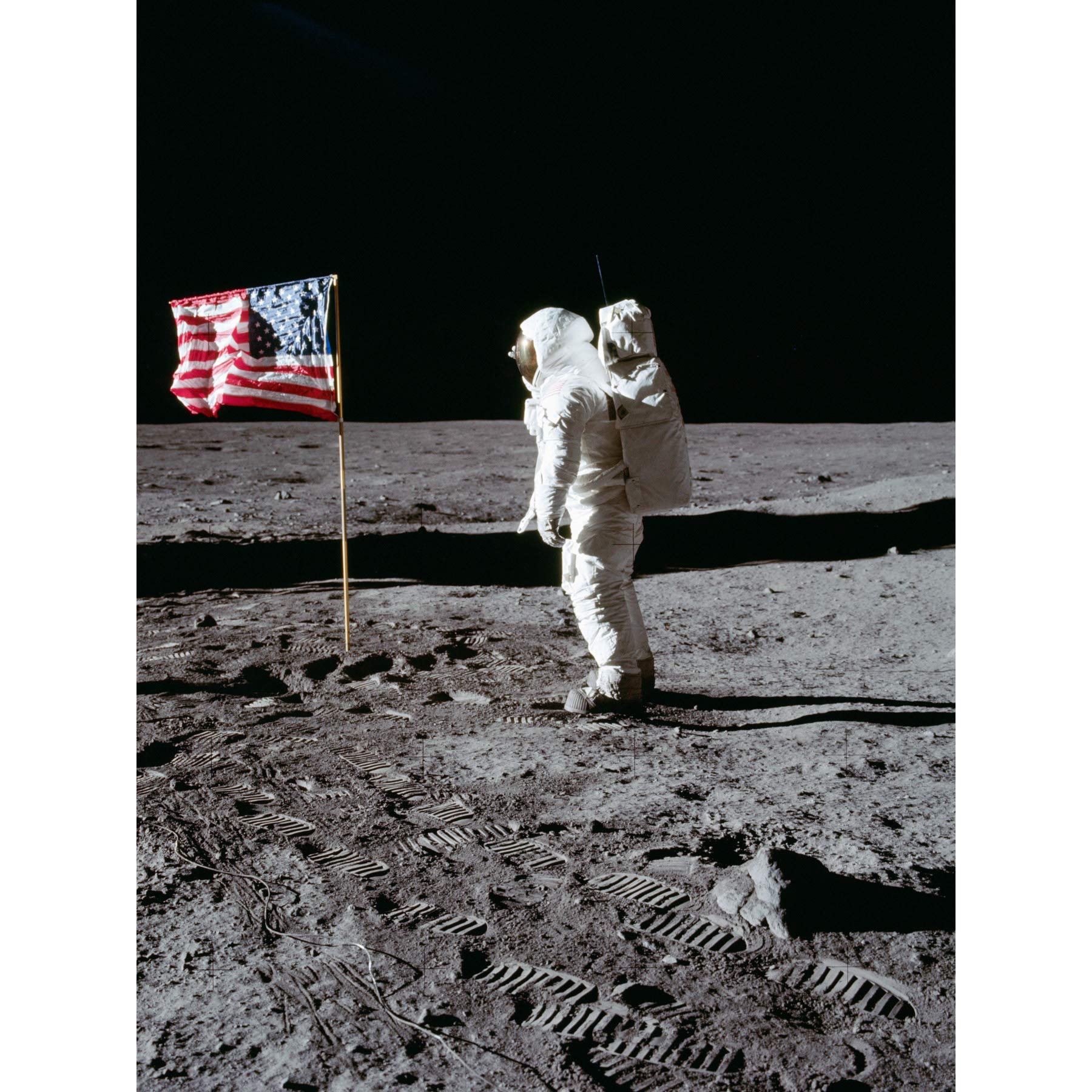 Space NASA Apollo 11 Aldrin Salutes US Flag Moon Photo Premium Wall Art Canvas Print 18X24 Inch