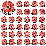 SANNIX 60Pcs Poppy Pins, Poppy Flower Brooch Pins