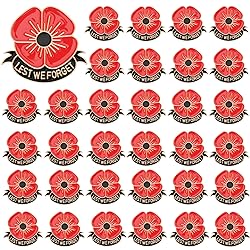SANNIX 60Pcs Poppy Pins, Poppy Flower Brooch Pins