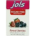Jols Sugar Free Pastilles, Forest Berry, 0.88-Ounce Boxes (Pack of 12)