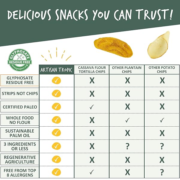 ARTISAN TROPIC PLANTAIN STRIPS SEA SALT – 6 PACK, 1OZ – VEGAN, PALEO, GLUTEN FREE CHIPS – INDIVIDUAL BAGS HEALTHY SNACKS FOR SCHOOL, GYM, KIDS – WHOLE 30 APPROVED FOODS BAKED BANANA CHIPS