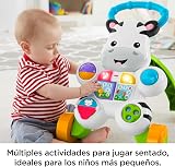 Fisher-Price Learn with Me Zebra Walker Spanish Version GXC34 view 4
