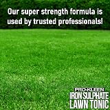 Pro-Kleen Lawn Tonic Liquid Iron Sulphate 5L - Grass Greener Fertiliser view 4