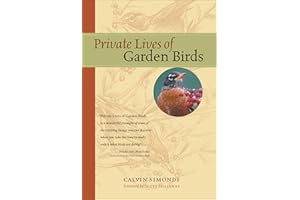 Private Lives of Garden Birds