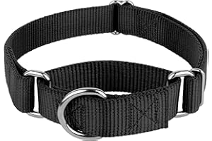 COUNTRY BROOK DESIGN Country Brook Petz - Martingale Dog Collar - Heavy-Duty Training Collar with No Buckle - Service Dog Collar for All Pups - 10+ Cool Colors (Black, 1 Inch, Medium)
