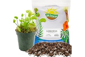 Soil Sunrise Carnivorous Plant Potting Soil Mix (2 Quarts) Ideal Additive for Venus Fly Traps, Sundews, and Pitcher Plants