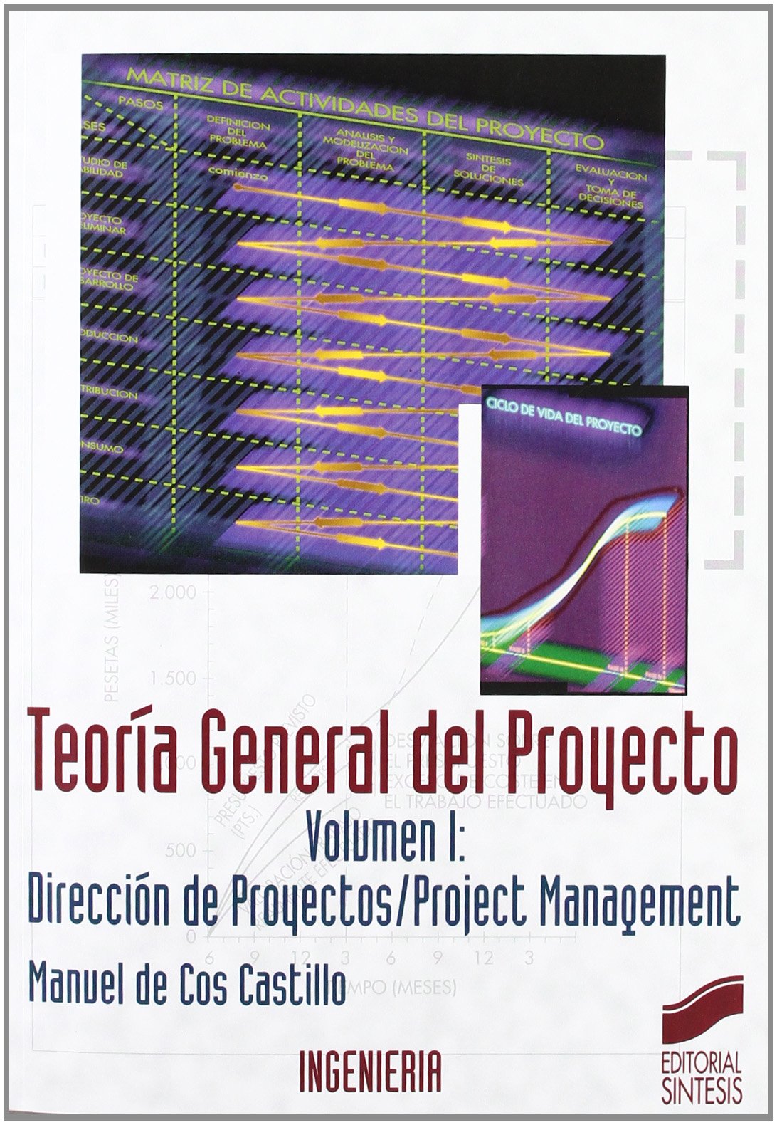 Teoría general del proyecto: 2 (Síntesis ingeniería. Ingeniería industrial)