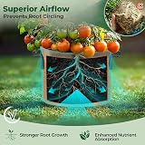 T4U 5-Pack 10 Gallon Fabric Grow Bags with Handles | Heavy Duty Nonwoven view 6