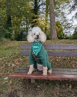 Pet Wiz Warm Four-Legged Dog Fleece Green XXL Weather-Resistant view 5