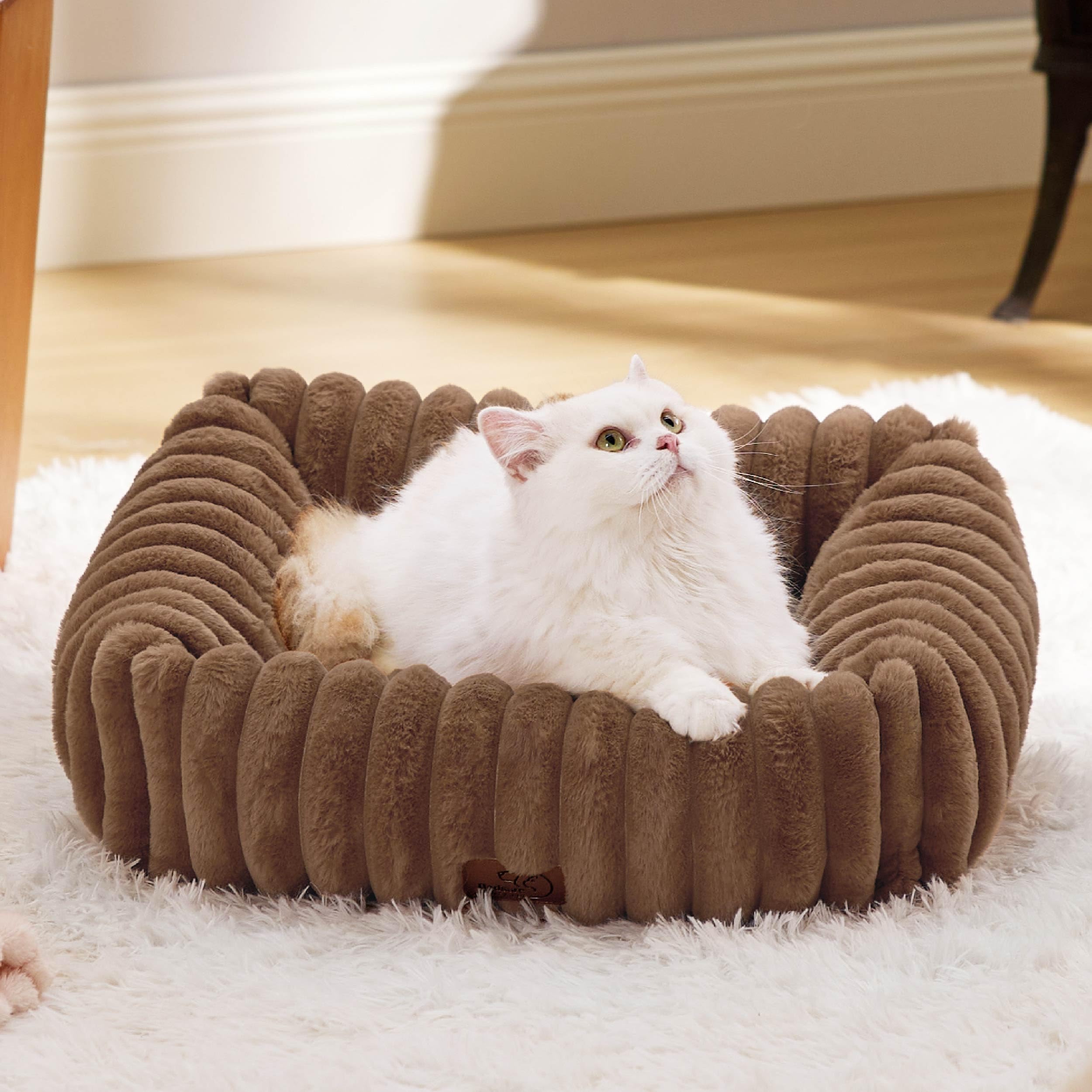 Photo 1 of Bedsure Cute Dog Bed for Small Dogs & Cats - Washable Furry Puppy Beds, Rectangle Orthopedic Corduroy Fleece Pet Beds with Removable Zipper Cover, 20x19x6inches, Copper Brown