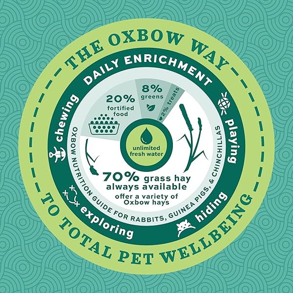 OXBOW ESSENTIALS RABBIT FOOD, ADULT, MADE WITH OXBOW TIMOTHY HAY FOR RABBIT, PET PELLETS WITH VITAMINS & MINERALS, SMALL ANIMAL PET PRODUCTS, BUNNY FOOD, MADE IN USA, HIGH FIBER, 10 LB. BAG