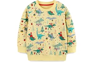 HILEELANG Toddler Boy Sweatshirt Cotton Blend Crewneck Fall Winter Pullover Long Sleeve Tops Size 2-7 Year