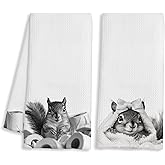 BAYOGITA Funny Squirrel Decor Bathroom Hand Towels Gifts, Gifts for Squirrel Lovers, Cute Animal Decorative Hand Towels for Kids Bathroom Washroom Restroom, 16x24 Inch Set of 2