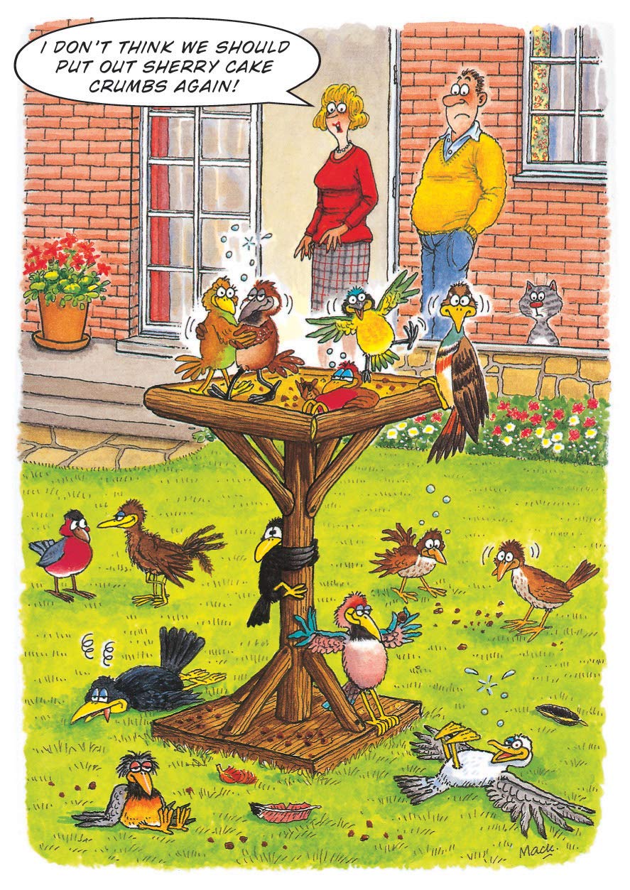 Drunken Bird Table HUMOUROUS Birthday Card The Funny Side of Life