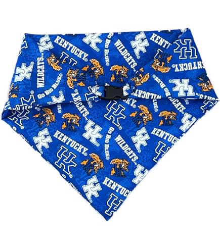 All Star Dogs Hundehalsband – Kentucky Wildcats Design, Größe M, Blau, Für Halsumfang 30,5-50,8 Cm