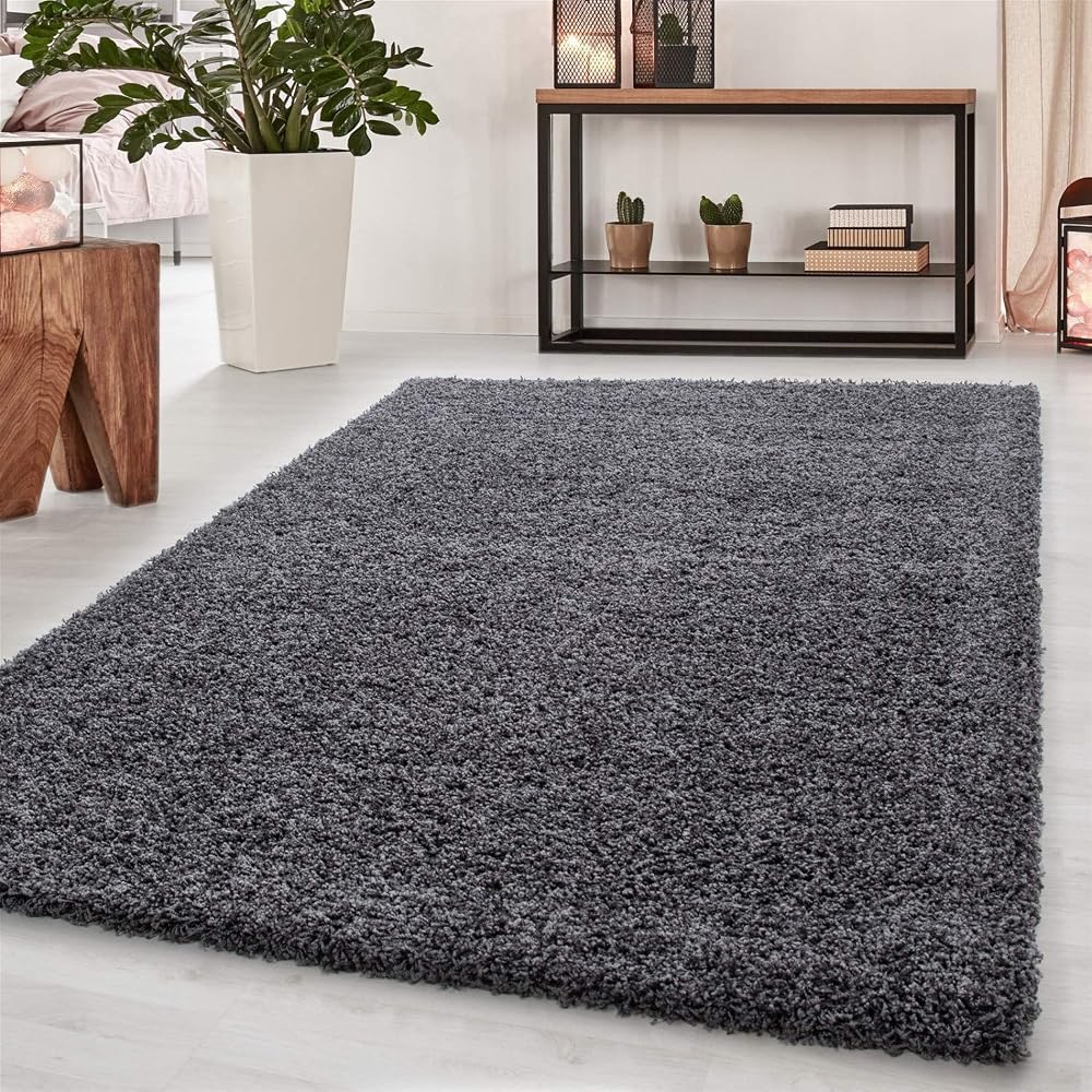 Abaseen Shaggy Rug Dark Grey 60x110 cm Modern Non-Slip Thick Pile