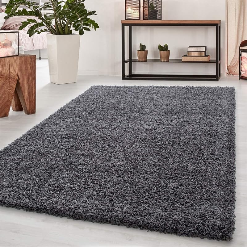 Abaseen Shaggy Rug Dark Grey 60x110 cm Modern Non-Slip Thick Pile