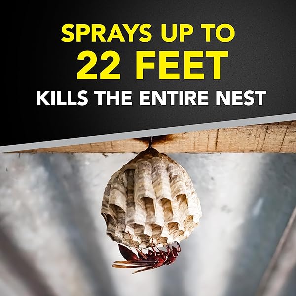 RAID WASP & HORNET KILLER SPRAY, BUG KILLER KILLS THE ENTIRE NEST, 14 OZ, 2 COUNT