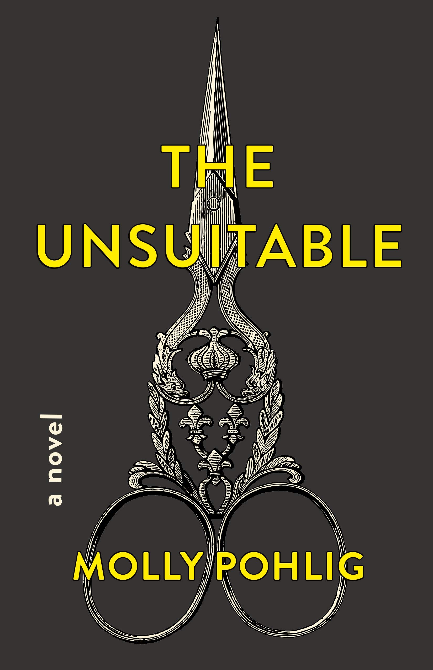 The Unsuitable A Novel Pohlig Molly 9781250246288 Amazon Com Books
