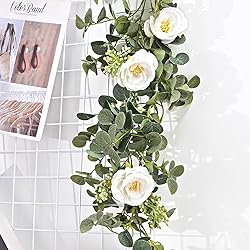 Dolicer 2 Packs 6.56Ft Eucalyptus Garland with