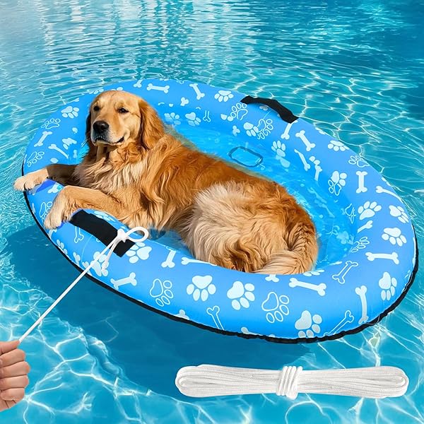 golden retriever dog friendly pool floats