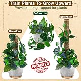 LANNEY Moss Pole 58.7 Inch 149cm 5-Piece Coir Totem Poles for Monstera view 2